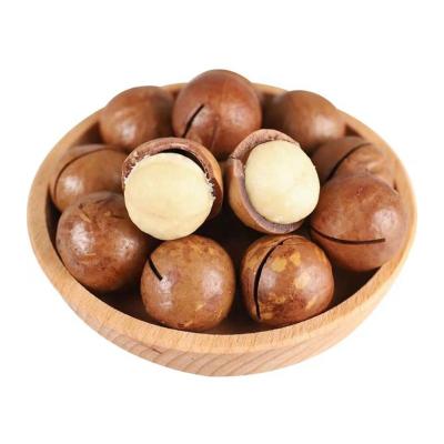 China Raw material macadamia kernels from australian hazel or in own shell factory processing and planting base in Yunnan with competitive price for sale