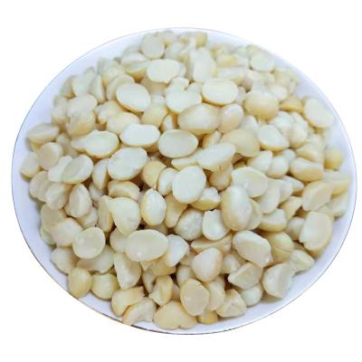 China Wholesale Healthy Bulk Original Queensland Nut Snacks 10kg Packing Factory Price Original Macadamia Normal Small MOQ for sale