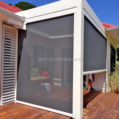 China Other High Quality Exterior PVC Lace Pleated Window Zipper Track Printed Roller Blinds for sale