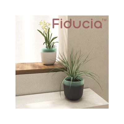 China Fiducia Flowerpot Modern Self-absorbing Plastic Flower Pots for Plants Home and Garden Nursery Plant Self-watering Gardening Flowerpot for sale