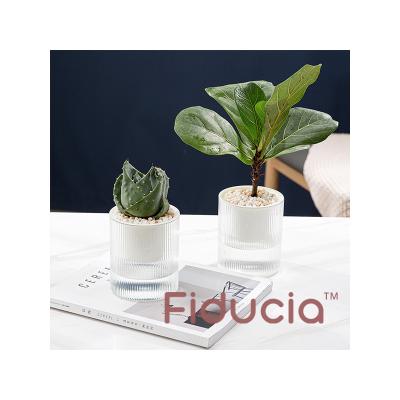 China Modern Indoor Office Around Hydroponic Transparent Clear Succulents Bunga Planter Self Watering Bulk Flower Plant Plastic Pots for sale