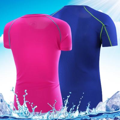 China Antibacterial Custom Short Sleeve T-shirt Running Fitness Clothing For Women Clothing for sale