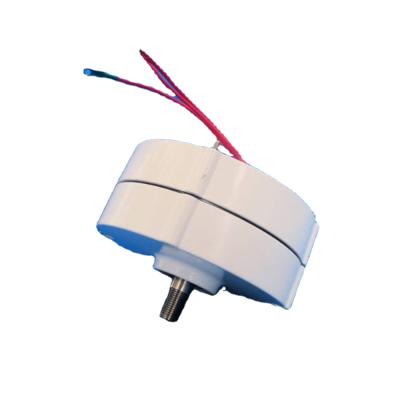 China Low Speed 300W 12V 24V 3 Phase Gearless Permanent Magnet Generator AC Alternators For Wind Turbine Water Turbine DIY for sale