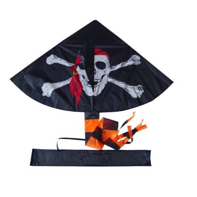 China Promotion Pirate Delta Shape Kite For Sale for sale