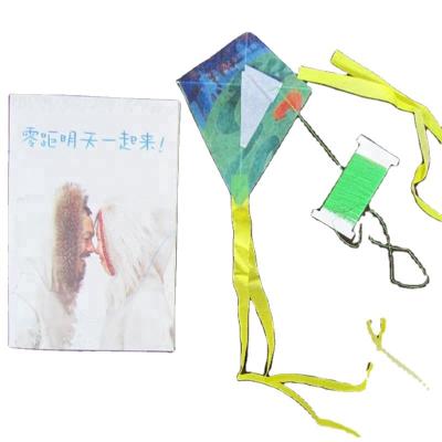 China Promotional kite non-woven/polyester 11x8.5cm mini for sale