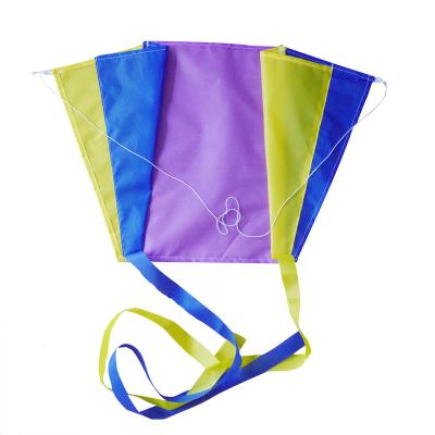 China Kite Factory Mini Polyester Pocket Sled Kite for sale