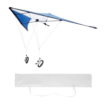 China Sound silk screen printing delta shape custom waterfall kite from kite factory for sale