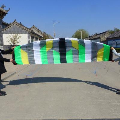 China 4 line nylon power kite for sale