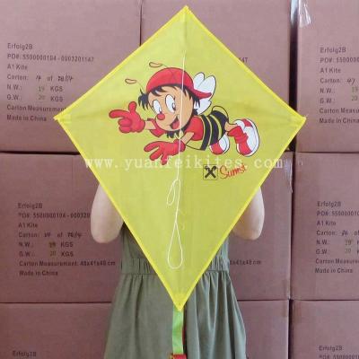 China Nylon Customized Kite for sale