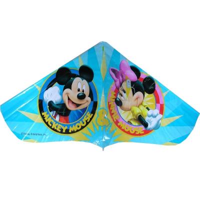 China Plastic Material PE Delta Plastic Promotional Kite for sale