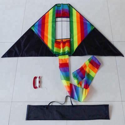 China 3D Polyester Airplane Rainbow Kite for sale