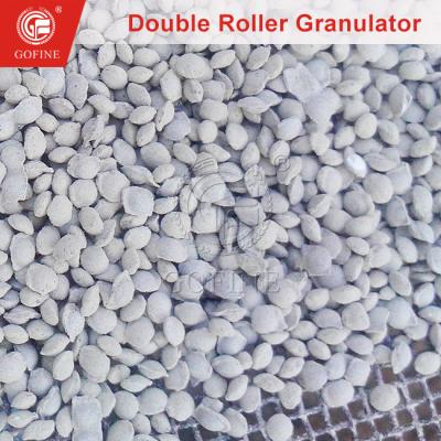 China Industrial Grade Calcium Chloride Sodium Chloride Powder Granulator Machine zu verkaufen