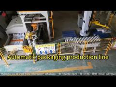 Large Automatic Bag Packaging Equipment Manufacturer For Price