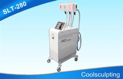 Китай 3 Handpieces Cryolipolysis уменьшая машину/оборудование Coolsculpting тучное замерзая продается