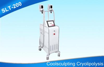 China Coolshape Cryolipolysis Fat Reduction Equipment , Cryotherapy Body Sculpting Machine for sale