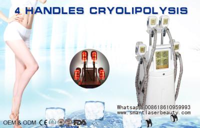 China Zeltiq Coolsculpting Cryolipolysis Machine , Cooshape Vaccum Fat Freezing Equipment for sale