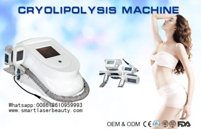 China Personal Use Cryolipolysis Slimming Machine / Portable Coolsculpting Fat Removal Machine for sale