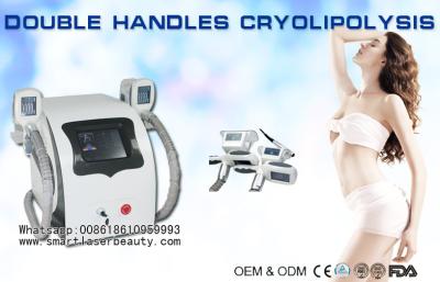 Cina Due maniglie Cryolipolysis che dimagrisce macchina, perdita di peso grassa di rimozione di Coolsculpting in vendita