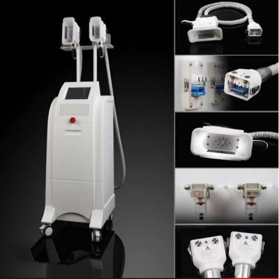 중국 아랫배 뚱뚱한 감소 Zeltiq Coolsculpting 기계, 8inch LCD를 Stomach 판매용