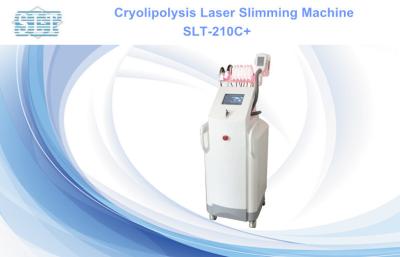 Cina Laser di Zeltiq Coolsculpting Lipo che dimagrisce macchina, attrezzatura LCD a 8 pollici di Cryolipolysis in vendita