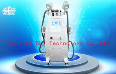 중국 Cryolipolysis Coolsculpting 뚱뚱한 제거 기계, Lipo 레이저 공동현상 RF 아름다움 장비 판매용