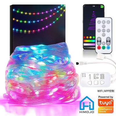 China Minimalist Tuya Smart WiFi LED Color String Lights Dreamcolor 10m RGB RGBIC USB Magical Alexa Music Sync APP Control for sale