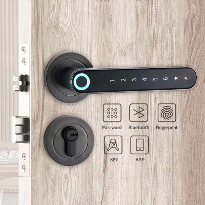 China Home Office HIMOJO WIFI Wooden Steel Cell Phone Open Household Keyless Outdoor Electric Deadbolt Password Magnetic Card Fingerprint Smart Locks Door for sale