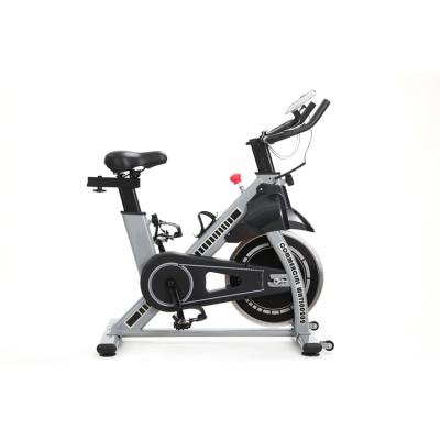 China Use at Home 2021 Hot Sale Professional Fitness Spinning Bike Home Smart Exercise Spinning Bike for sale