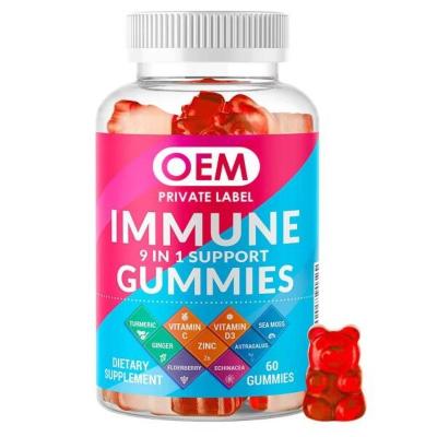 China 9 in 1 Organic Black Elderberry Gummies Vegan Sambucus Gummies to Boost Immune System zu verkaufen