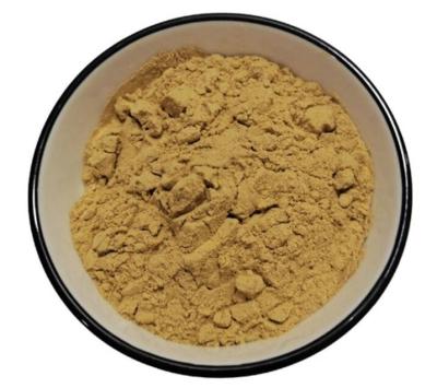 China Artificial Planting Careful Selection Kidney Health Raw Material Powder Herbal Extract Dietary Supplement zu verkaufen