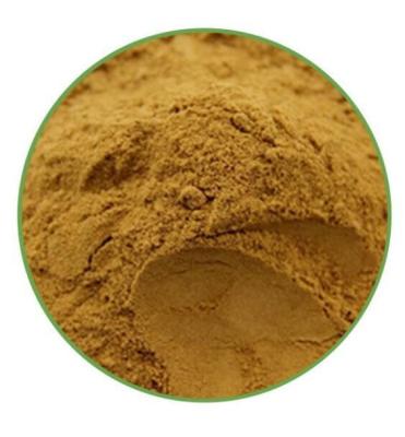 China Agaricus Blazi Extract Raw Material Powder Herbal Extract Dietary Supplement Superior zu verkaufen