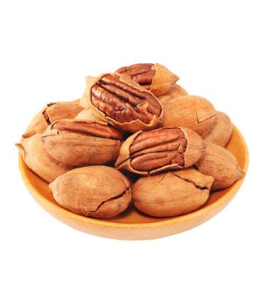 China Premium Quality 100% Natural Semi-Sweet Roasted Salted Pecans with Raw Shell Pecans for sale