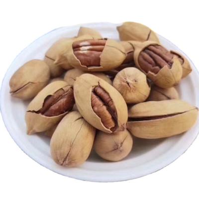 China Wholesale High Quality Delicious Hickory Dry High Nutritional Value for sale