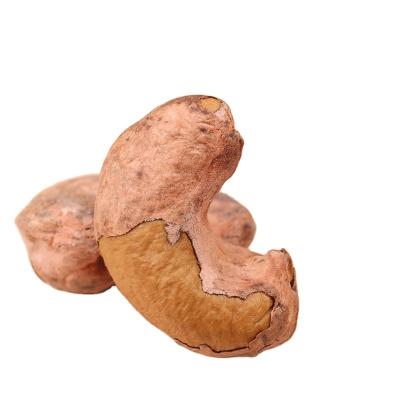 China Dried cashew nuts wholesale factory price best quality for sale for sale