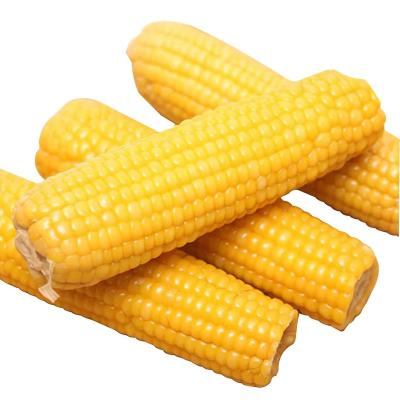 China Low price vegetable best-selling style sweet yellow corn jelly sale new for sale