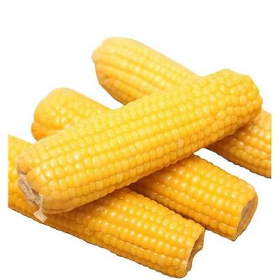 China FROZEN Manufacturers Wholesale Grade One Superior Yellow Corn For Human Consumption for sale