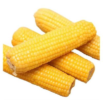 China Wholesale Manufacturers FROZEN Ready Made Candy Corn Snacks Corn On The Cob for sale