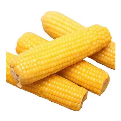 China FROZEN Corn Double Full Pack in Non GMO Vacuum Retort Pouch for sale