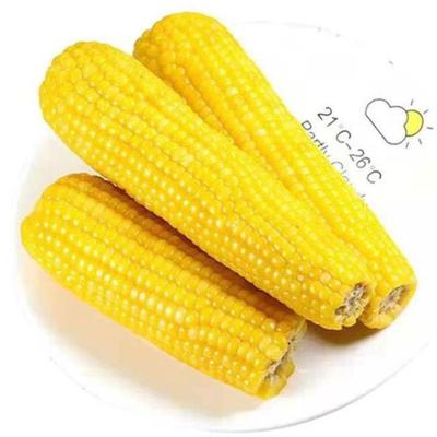 China China factory direct sale FROZEN yellow waxy corn soft and delicious organic corn for sale