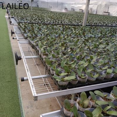 China Movable Orchid Cultivating Greenhouse Used Movable Rolling Bench And Movable Seedbed for sale