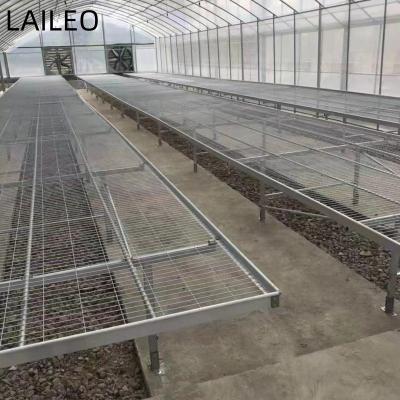 China Mobile Latest Style Mobile Seedling Planting Tabletop Greenhouse Bench for sale