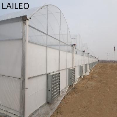 China Stable Structure Easily Assembled Multi-span Film Greenhouse For Vegetable And Flowers for sale