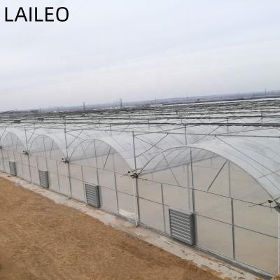 China Stable Structure Easily Assembled Large Size Multi-Span Arch Plastic Sheet Greenhouse Tomato Greenhouse And Strawberry Greenhouse Turnkey Project for sale