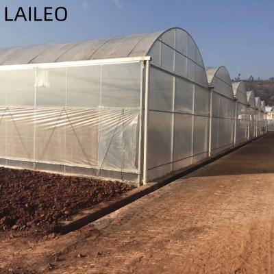 China Stable Structure Easily Assembled Agriculture Green Houses Commercial Greenhouse For Growing Tomatoes for sale