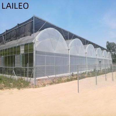 China Easily Assembled Stable Structure Fabrics Poly Tunnel Multi Film Greenhouse Hydroponic Doom Arch Span Greenhouse Plastic For Vegetables for sale