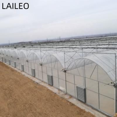 China Stable Structure Easily Assembled Plastic Film Tomato Agricultural Greenhouse Turnkey Project With Quick Build for sale