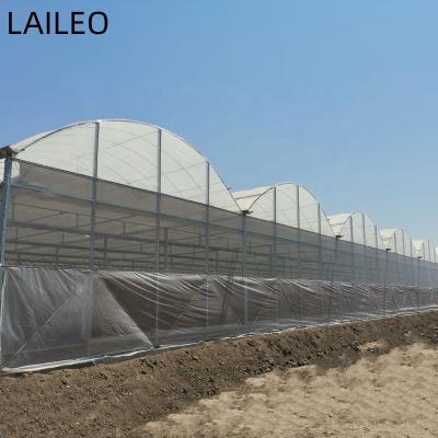 China Stable Structure Easily Assembled Agriculture Greenhouse Frame Multispan Vegetable Greenhouse for sale