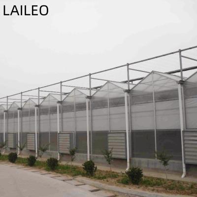 China Vegetable Fruits Flowers Agricultural Polycarbonate Greenhouse/PC Greenhouse For Lettuce for sale