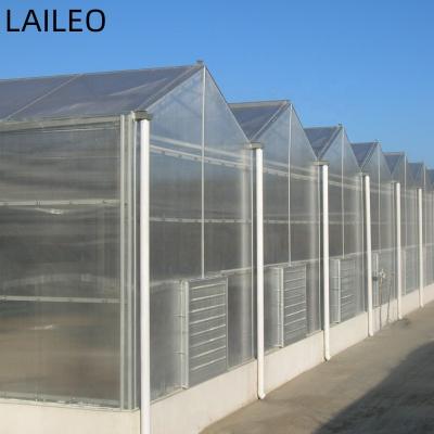 China Multi-span PC Sun Panel Fruit Vegetable Flowers Industrial Commercial Greenhouse for sale