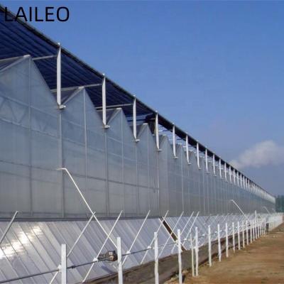 China Polycarbonate Vegetable Greenhouse Multi Span Fruit Flowers PC Greenhouse For Large PC Greenhouse for sale